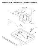 Burner box, gas valves, and switch parts