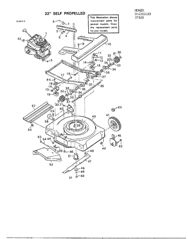 22" self propelled