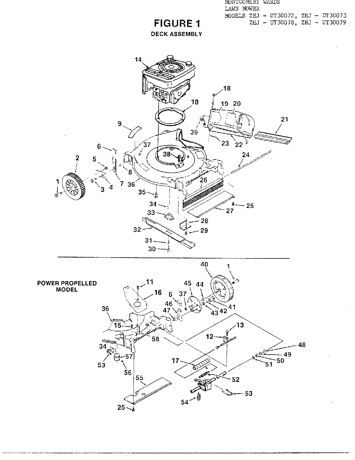 FIGURE 1-DECK