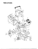 5hp 21" hi-wheel mower