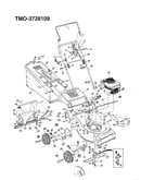 5hp 21" rotary mower