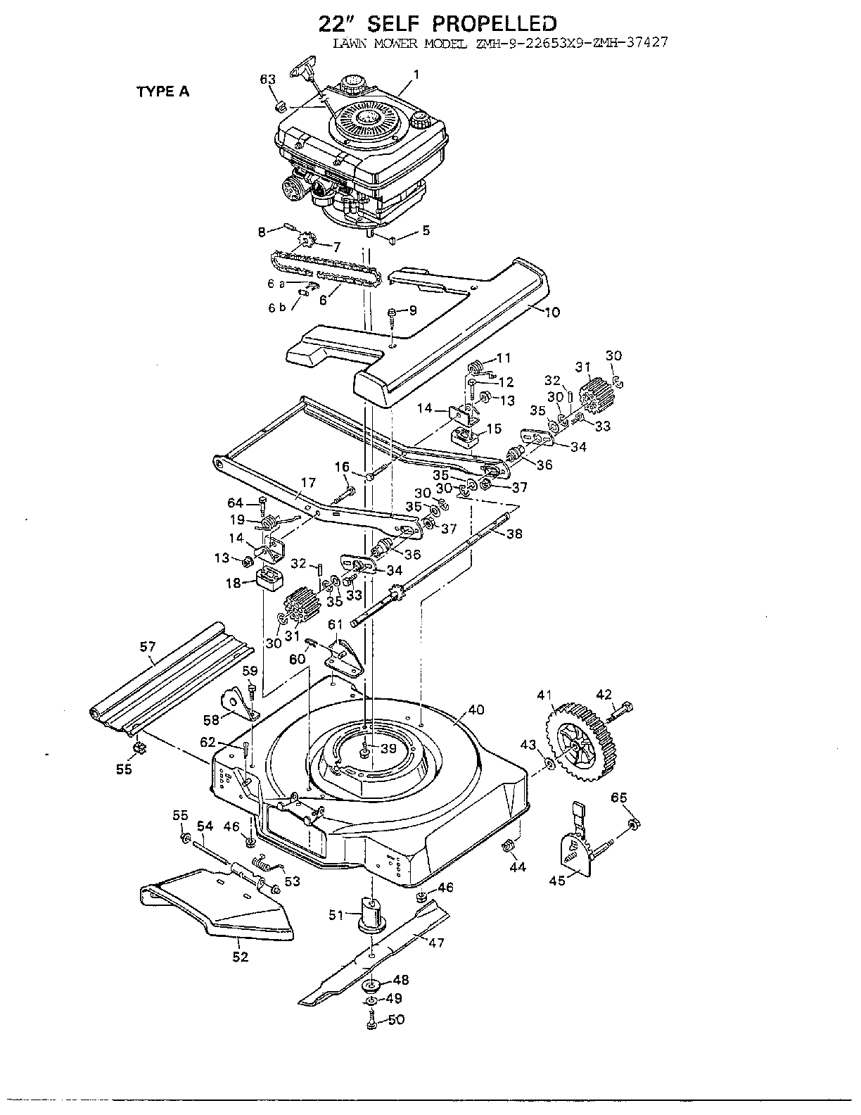 22" self propelled