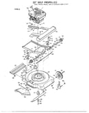 22" self propelled