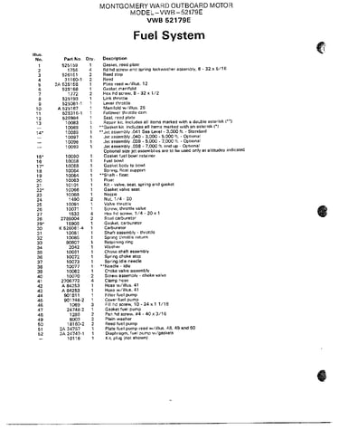 Outboard motor/fuel system