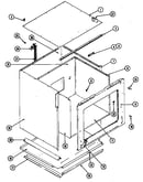 Body (lower)