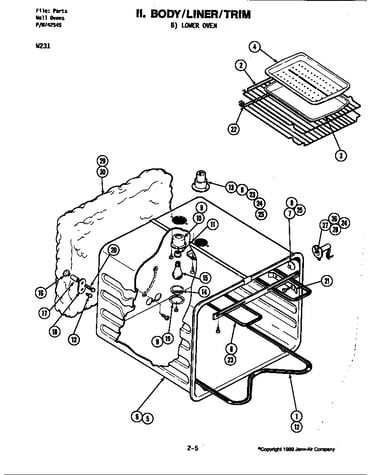 Body (lower)