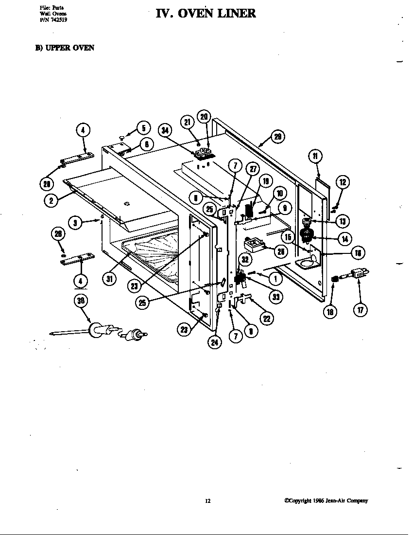 Body (upper)
