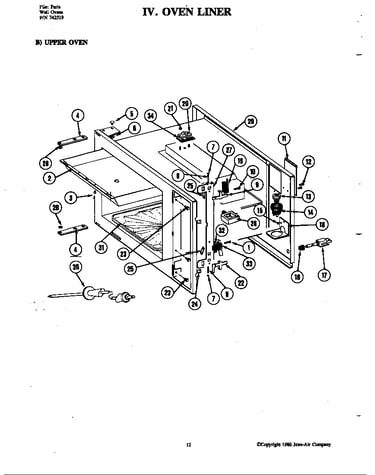 Body (upper)