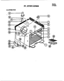 Body (lower)