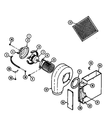 Blower motor