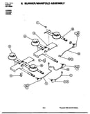 Burner/manifold assembly
