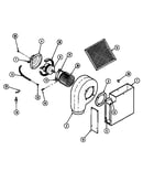Blower motor