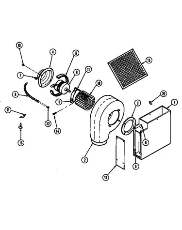 Blower motor