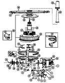 Pump & motor