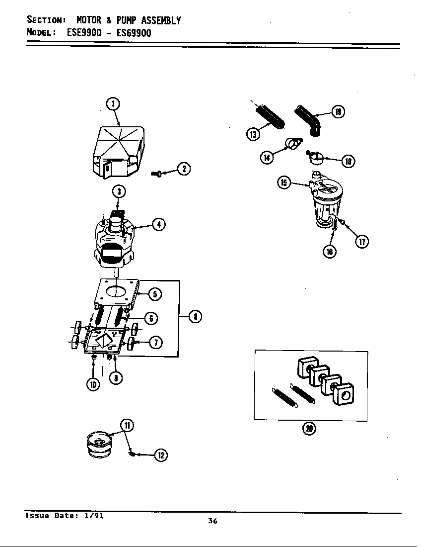 MOTOR & PUMP ASSY (ESE9900 & ESG9900) (ESE9900) (ESG9900)