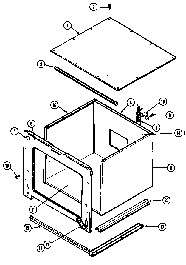 Body (lower)