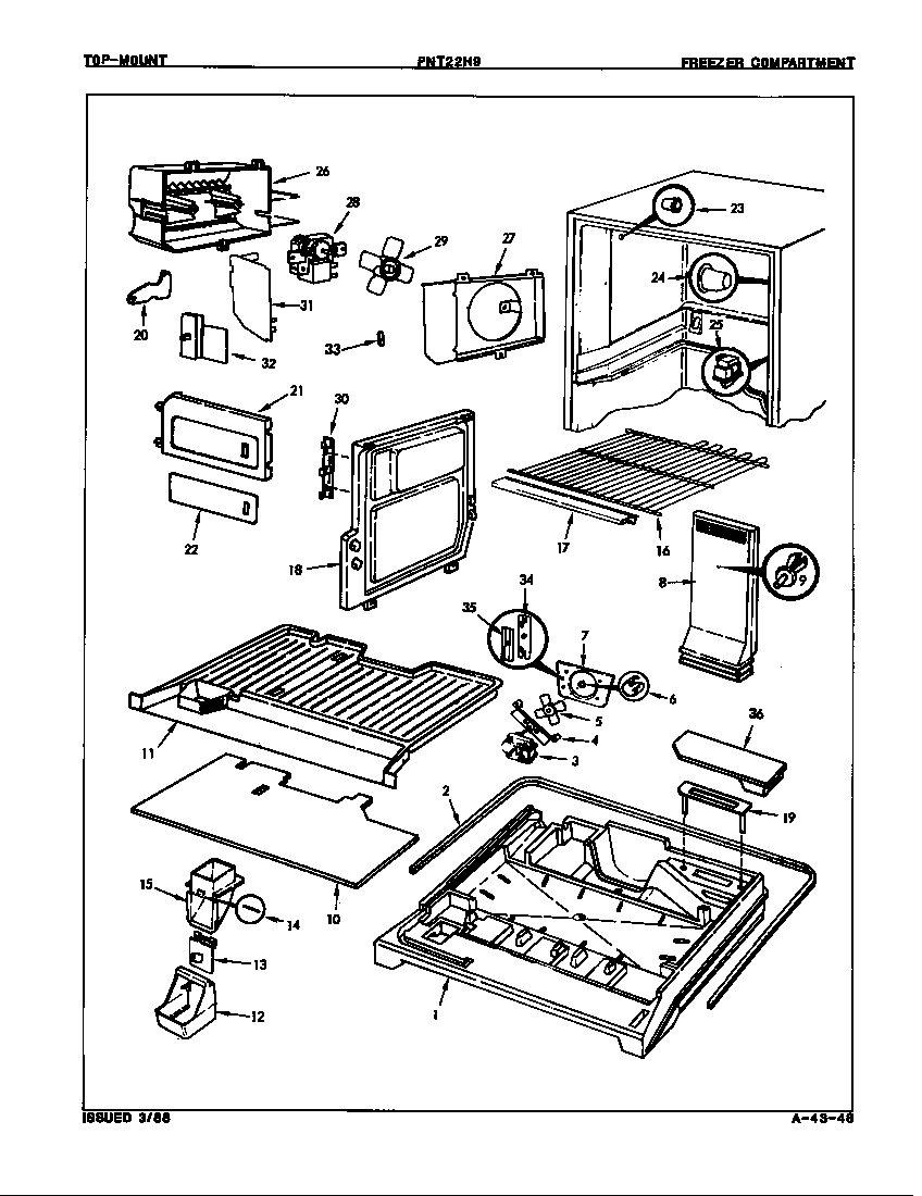 Freezer compartment