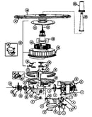 Pump & motor