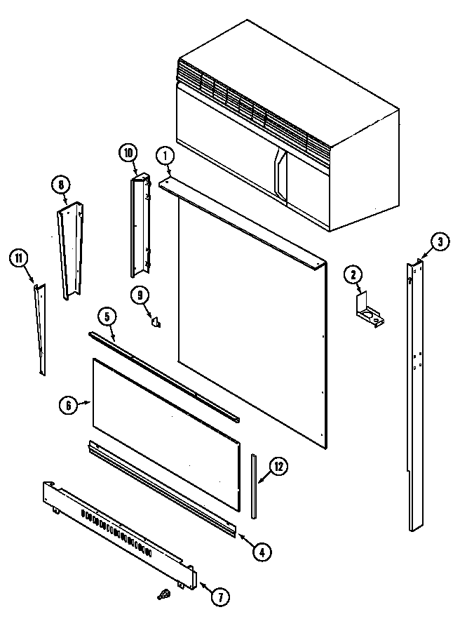Body (upper)