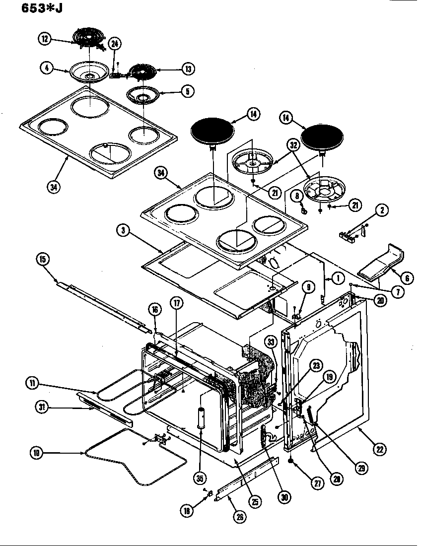 Body