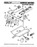 Manifold section