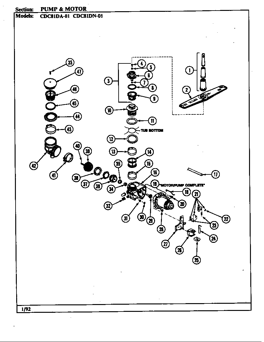 Pump & motor