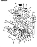 Body