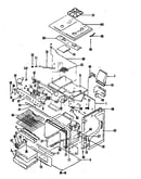 Body (lower)