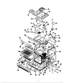 Body