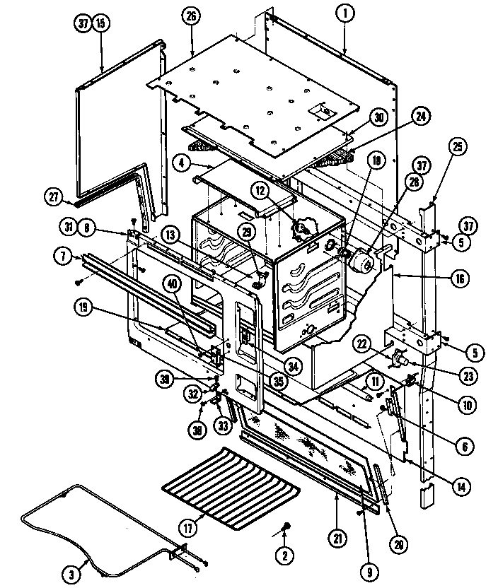 Body (upper)