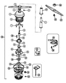 Pump & motor