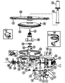 Pump & motor