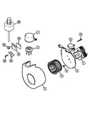 Blower, float & water level switch