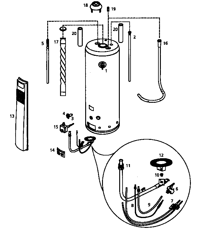 Body