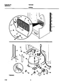 System