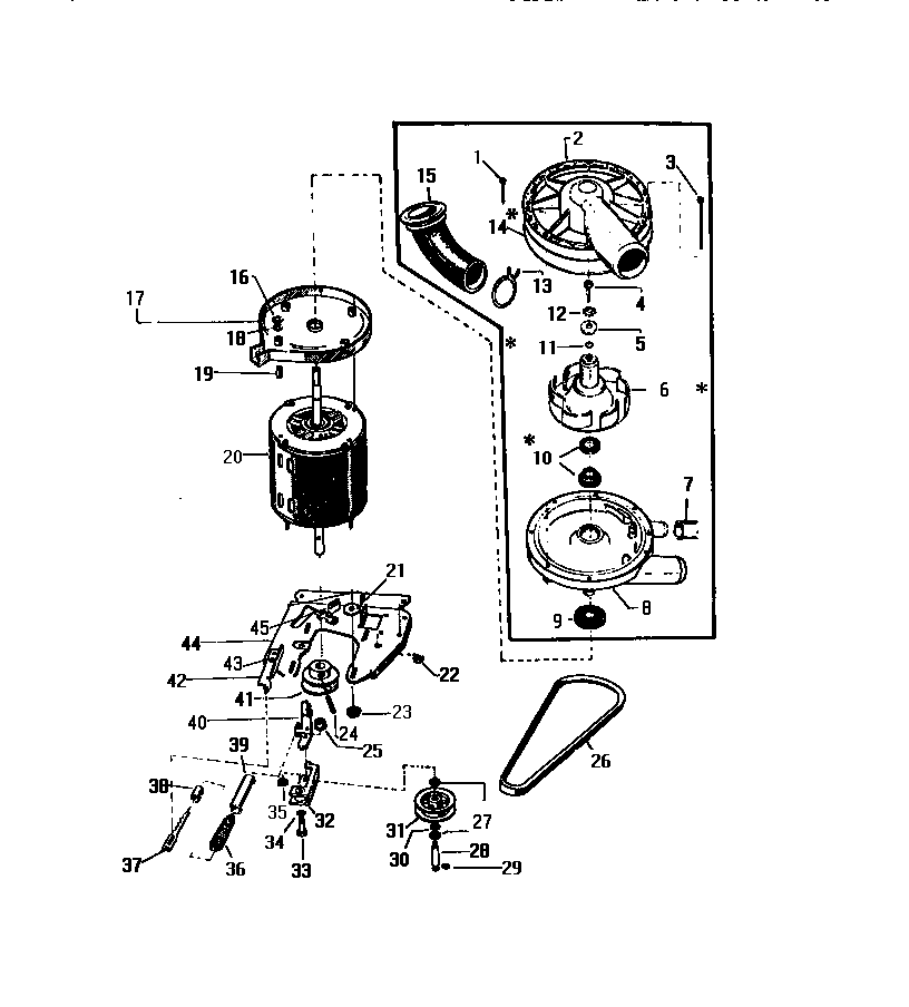 Motor, pump assembly