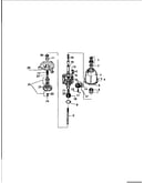 Motor, pump assembly