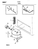 System