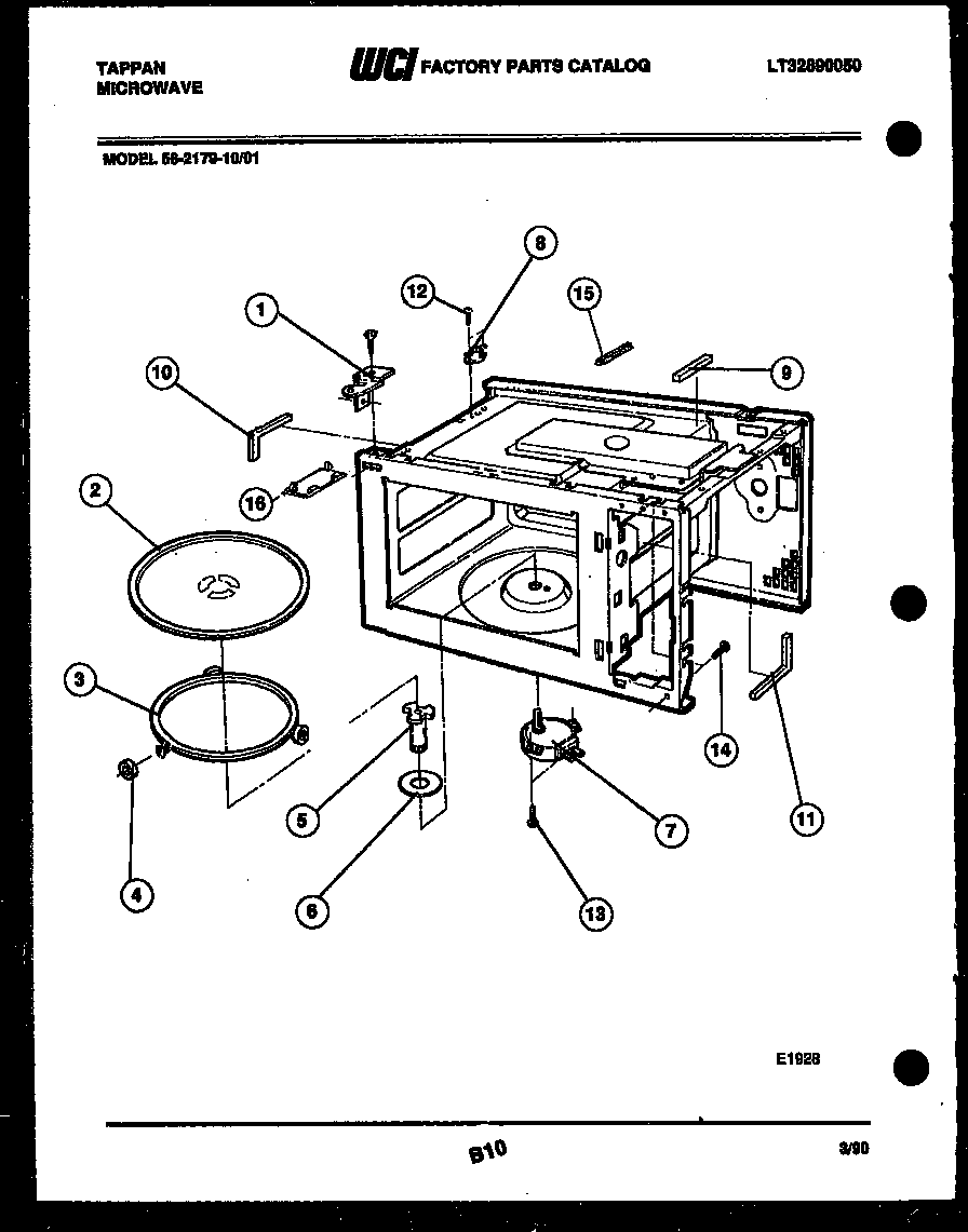 BODY PARTS