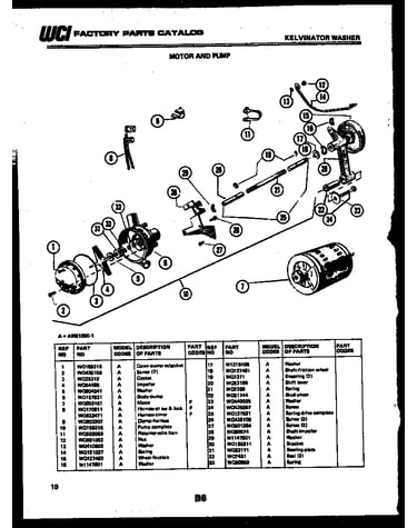 Motor and pump
