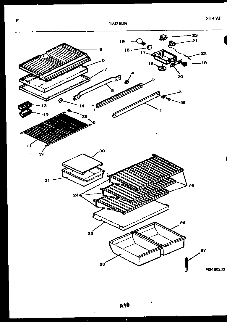 Shelves and support