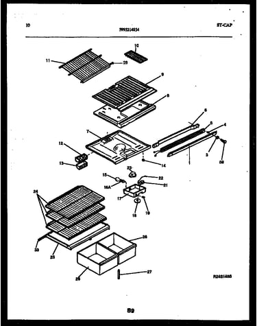 Shelves and supports