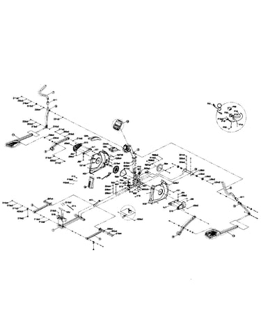 Main section