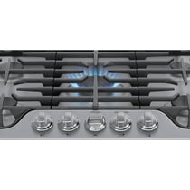 DCS cooktops parts