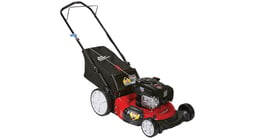 MTD Walk behind mowers