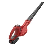 Electric leaf blowers logo