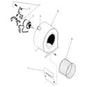 Kenmore 867769178 blower diagram