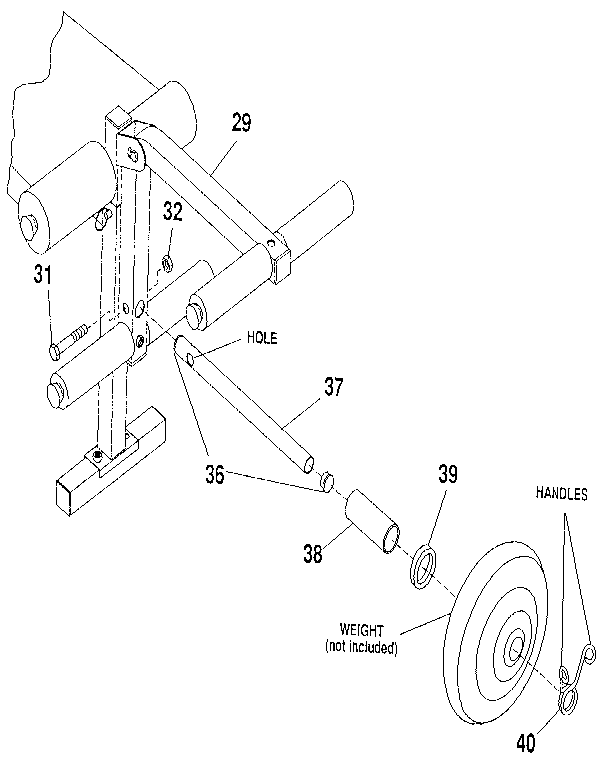 Lifestyler 155571 figure 4 diagram