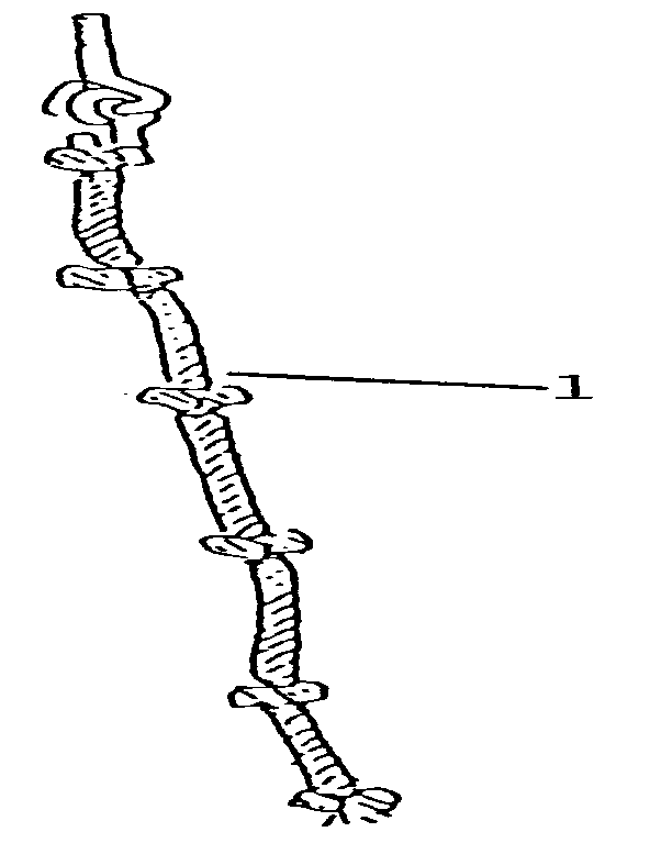 Sears 72707 rope assembly diagram
