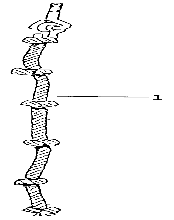 Sears 37210 rope diagram